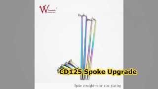 Jeu de rayons moto CD125 en acier torsadé